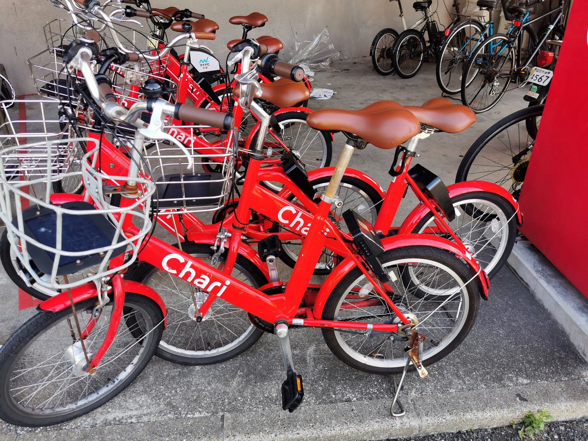 がっくん🐈💫 tweet media