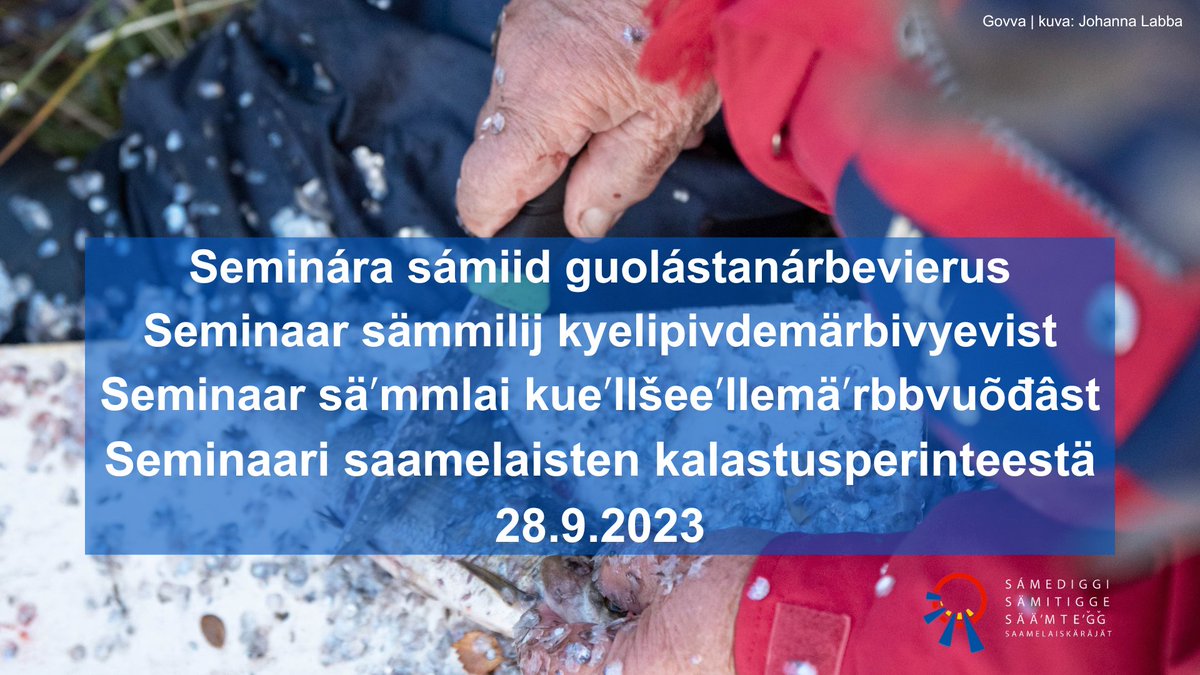 Saamelaiskaraja's tweet photo. Saamelaiskäräjät järjestää 28.9.2023 Sajoksessa Inarissa avoimen seminaarin saamelaisten kalastusperinteestä.

🔹 Jos osallistut tapahtumaan Sajoksessa, ilmoittaudu viimeistään su 24.9.
🔹 Seminaaria voi seurata myös Zoom-webinaarin kautta.

Lue lisää ⬇️
https://t.co/v78VyXBcCj https://t.co/TDH8fcxpiS