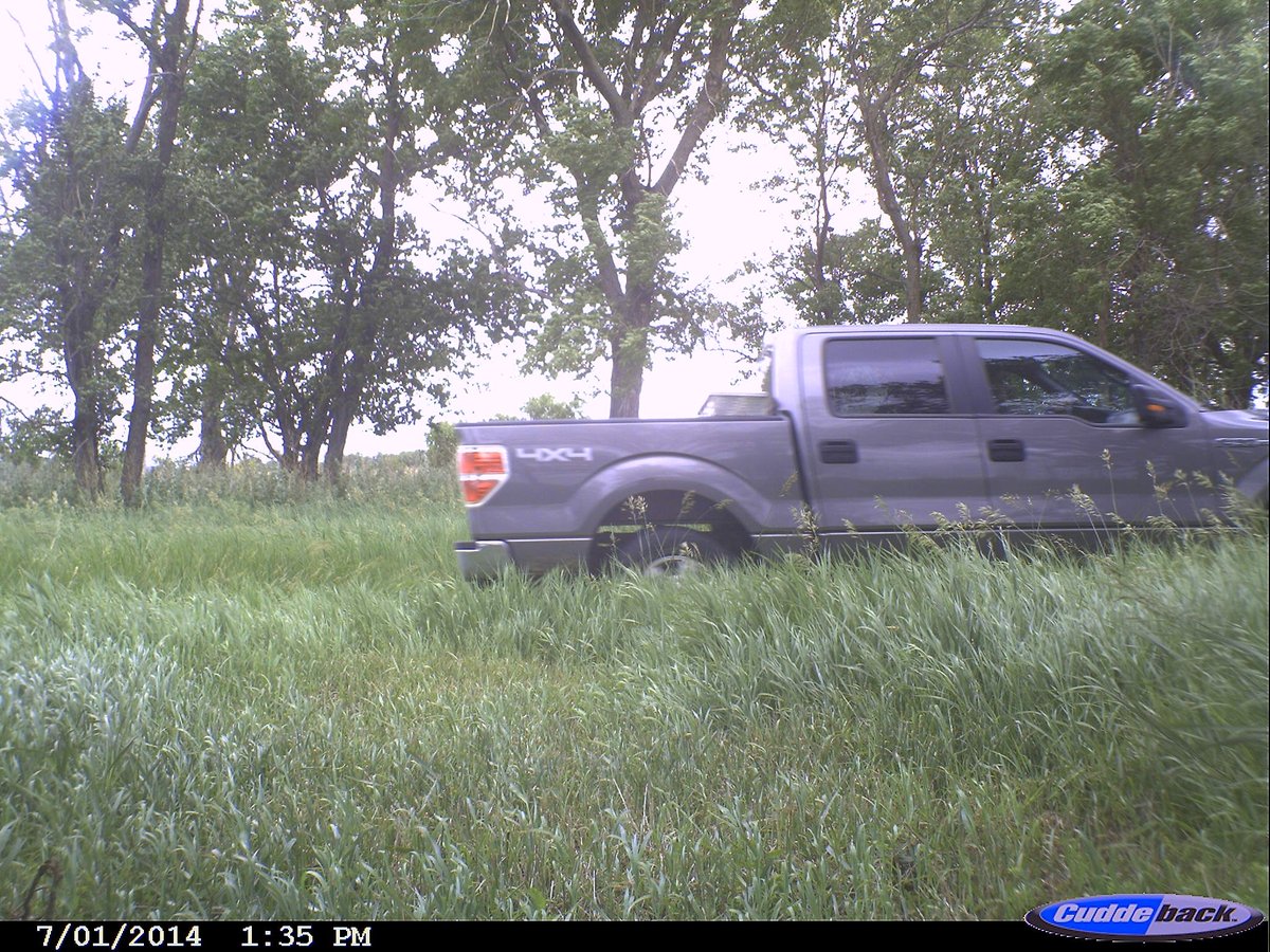 trailcams 🌿 tweet media
