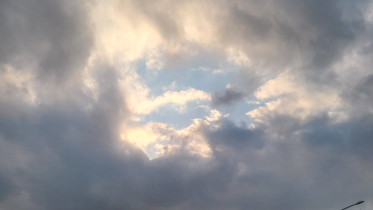 voidzweb's tweet image. ㅤㅤ
ㅤ     /\___/\
ㅤ     ꒰ ˶• ༝ - ˶꒱ 　     𝚗𖦹𝚋𝐥e𝑠𝑠𝕖𝚍 𝚟𝕒𝐦𝚙𝑧
ㅤㅤ./づ =͟͟͞͞   ♡         𝚗𝕖𝐰 バカ ✪ u𝚙𝚍𝕒𝐭e
ㅤㅤ