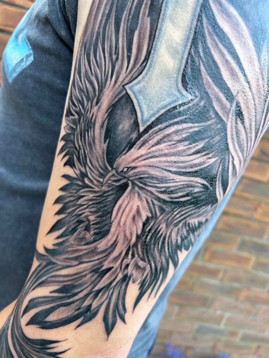 Dan 'Sting' Ray tweet media