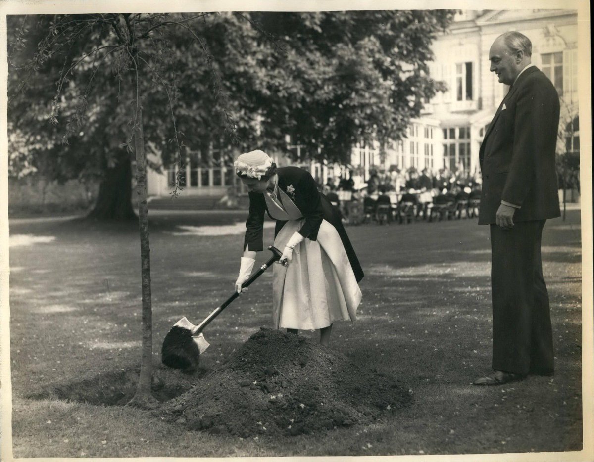 The King continues a tradition set by Her late Majesty Queen Elizabeth II, by planting a tree in the British Residence in Paris. #RoyalVisitFrance

🌳 Her Majesty planted three trees in the Garden - in 1957, 1972, and 2015.