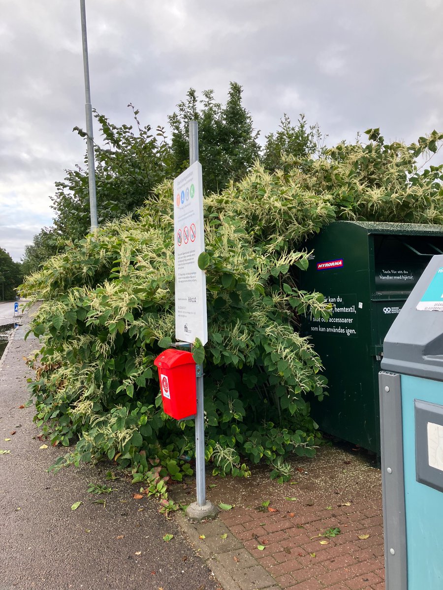 @ISAP-SWEDEN tweet media