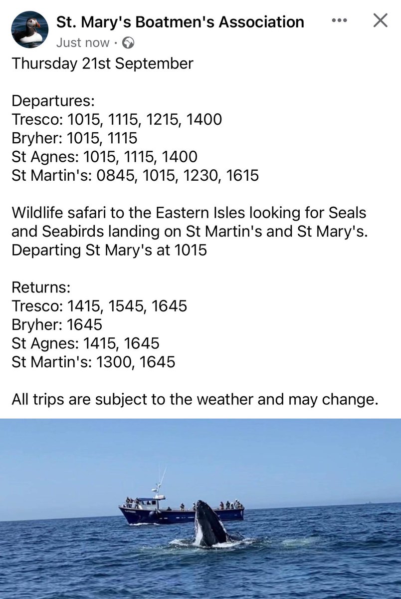 St Mary's Boatmen (@scillyboating) on Twitter photo 2023-09-21 07:26:35