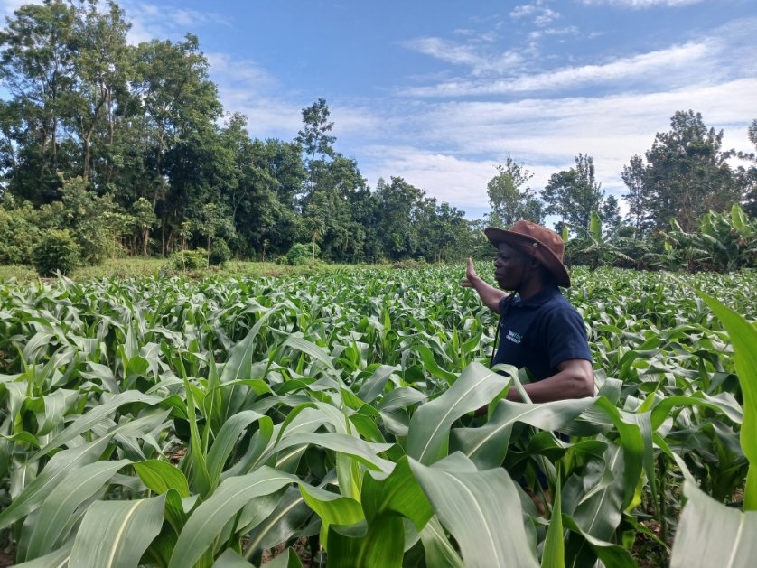 PATRICK61594997's tweet photo. Kazi safi ya Yara MiCROP fertiliser from @YaraKenya 
@ronniechirchir @diangaronald @rodgers_kirwa @MFarmguard @kibrutto @Billngeno @savannahboy52 @sam#MboleaNiYara https://t.co/Ot8xmH0zMv