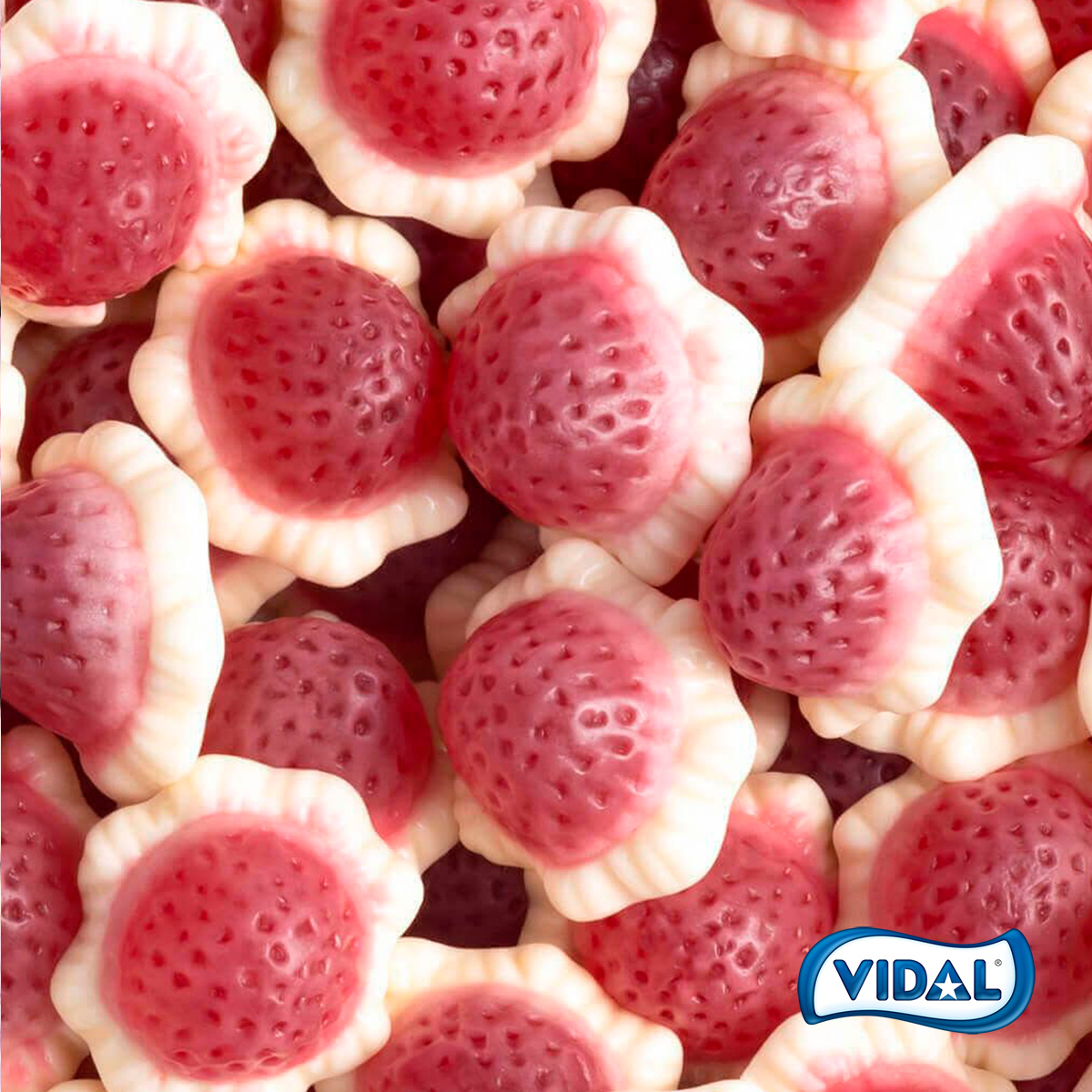 Vidal_Golosinas's tweet photo. Hoy nos hemos levantado generosos, ¿alguien quiere Rellenolas? 👇 https://t.co/vUseOgQdkm