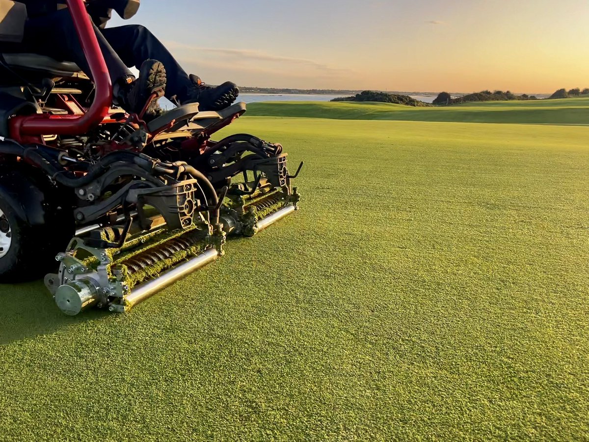 Damien Coleman tweet media