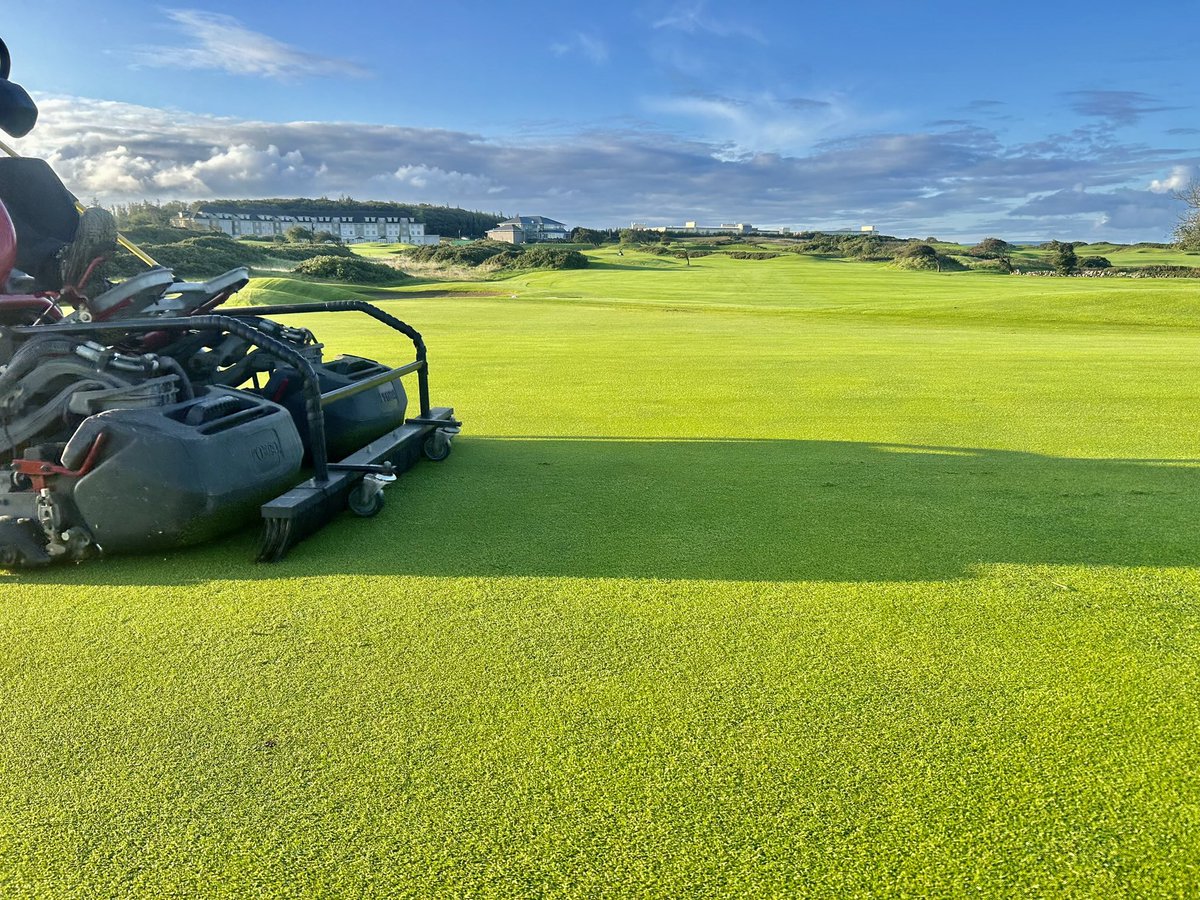 Damien Coleman tweet media