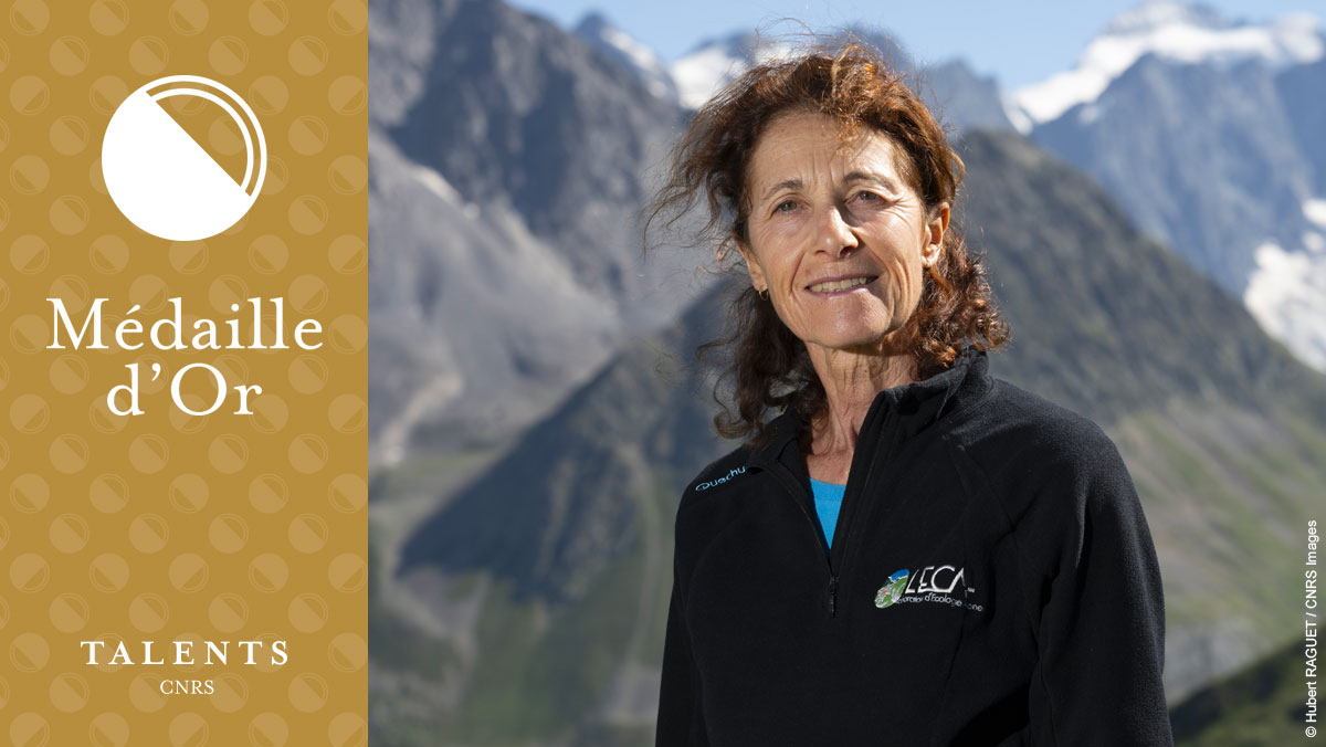 #Communiqué 🗞️ La médaille d'or 2023 du <a href="/CNRS/">CNRS 🌍</a> distingue l’écologue Sandra Lavorel, spécialiste du fonctionnement des écosystèmes, pionnière dans la définition et l’analyse des services rendus par la biodiversité aux sociétés humaines.

➡️ cnrs.fr/fr/presse/leco…

#TalentsCNRS 🪙