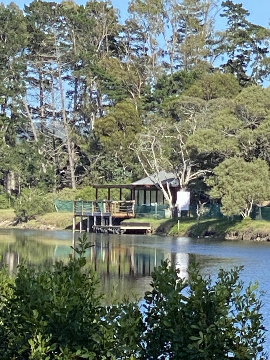 gatvolinthecity's tweet image. #waterreflection #lake #water #trees