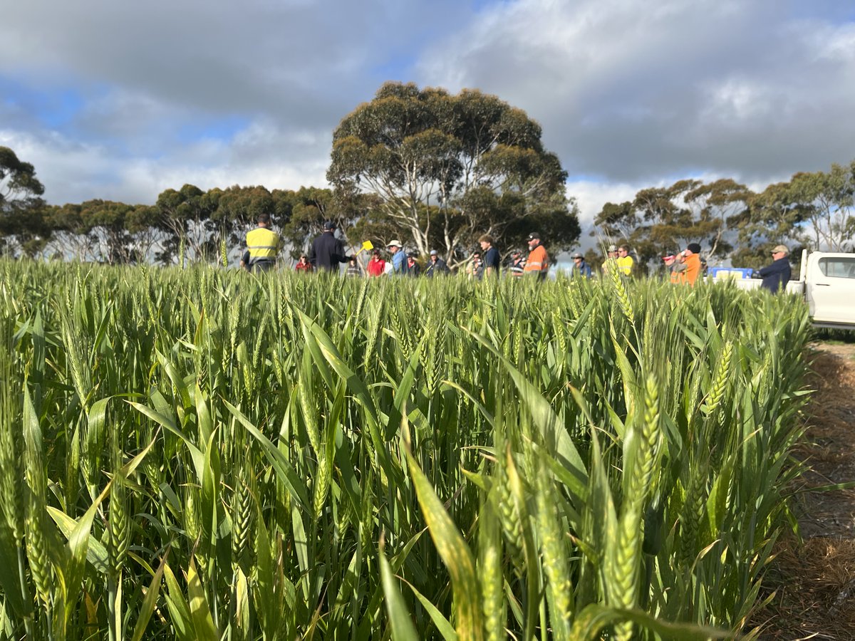 Fantastic day out yesterday for the South East Rural Traders Spring Field Walk.

Thanks to our growers for your support throughout the season, and our suppliers and R&amp;D partners.