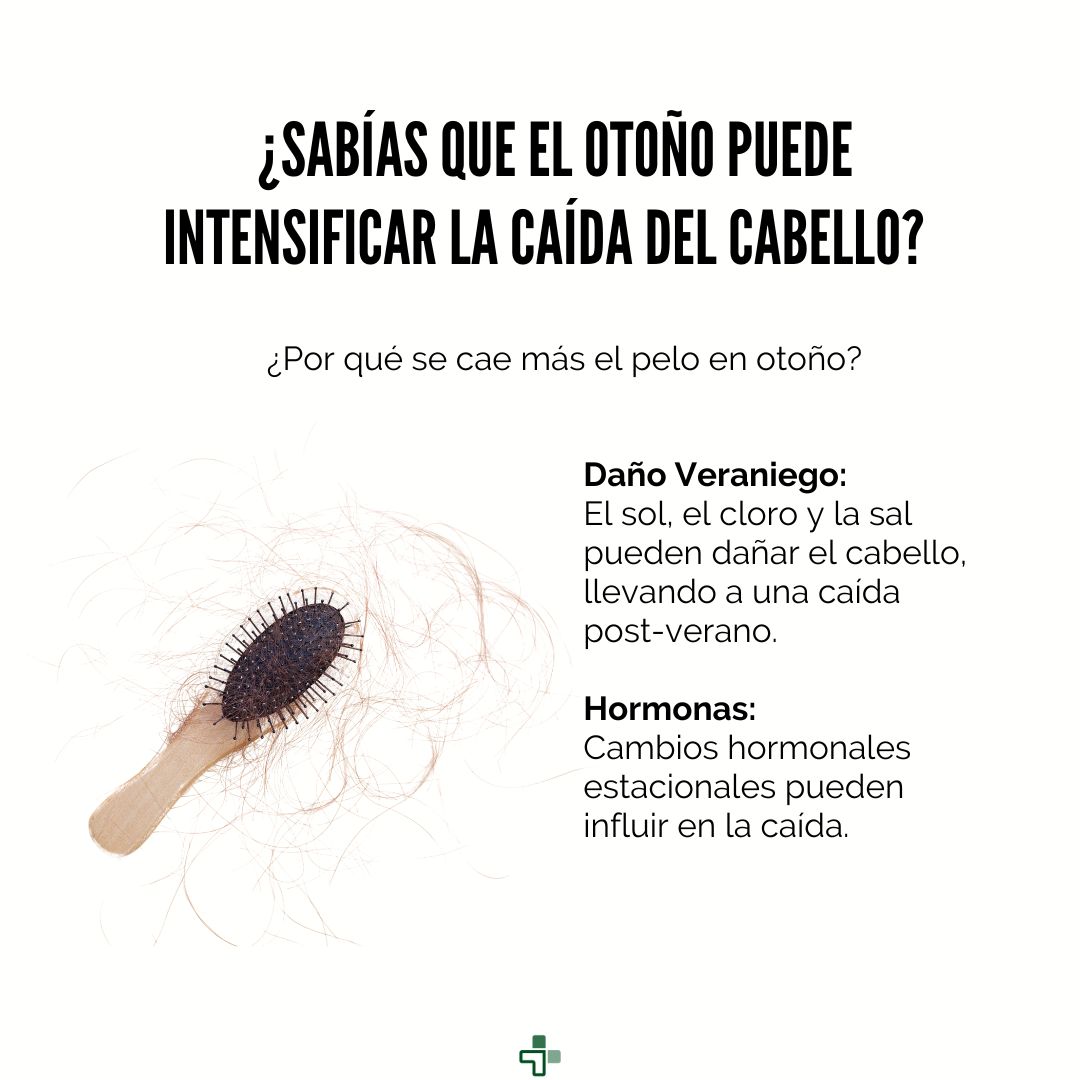 Mibotika's tweet photo. 🍂 A medida que las hojas cambian y caen, nuestro cabello también experimenta transformaciones. Descubre en nuestro carrusel por qué el otoño trae consigo una mayor caída del cabello y cómo puedes contrarrestarla.
 #SaludCapilarOtoñal #CuidaTuMelena  #AnticaídaEnLaFarmacia https://t.co/tX9jeIPpW1