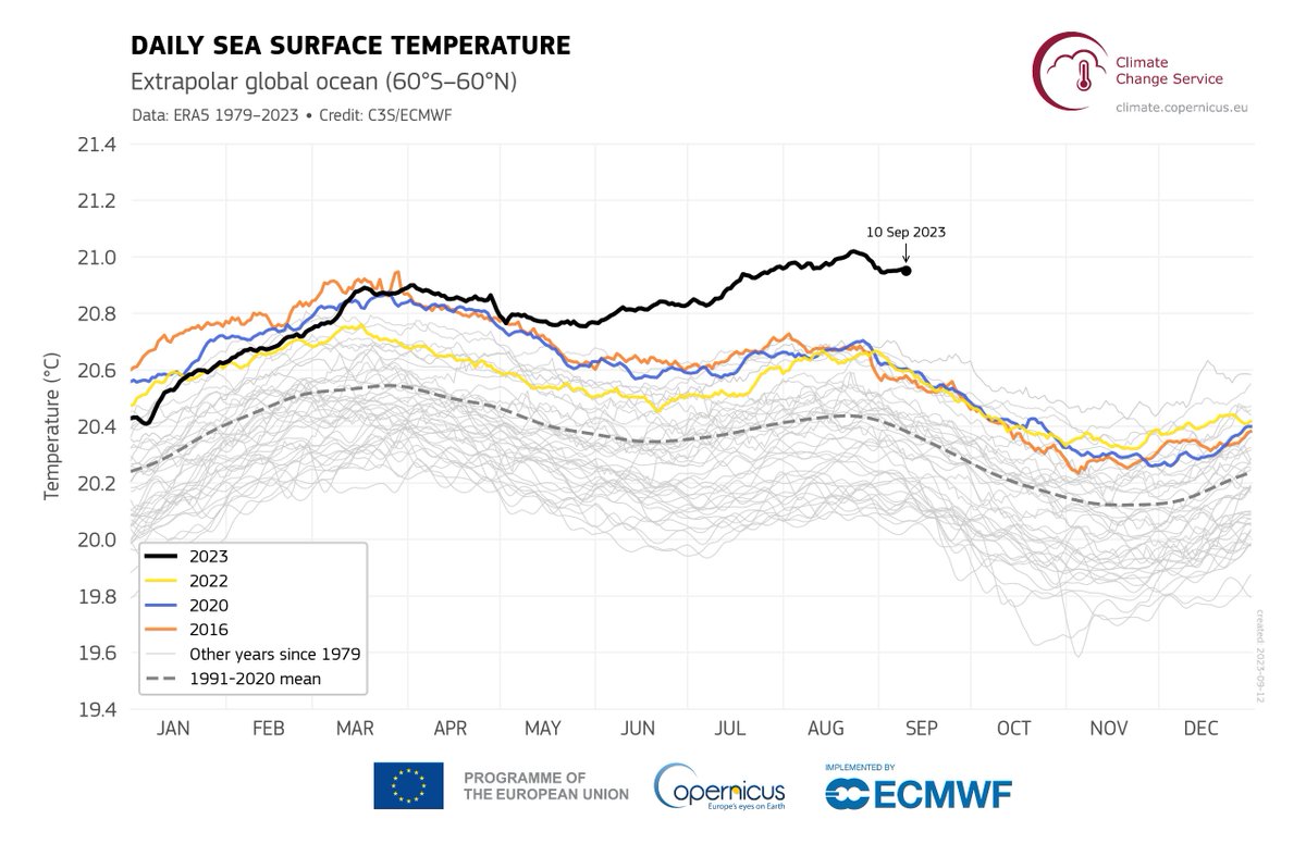 Oceans help us fight climate change by absorbing excess heat and CO2🌍

But new <a href="/CopernicusEU/">Copernicus EU</a> data shows alarming 🌊 warming, which limits their ability to regulate the climate and accelerates polar ice melt 🐧

By cutting emissions, we'll protect our planet and its #ocean.