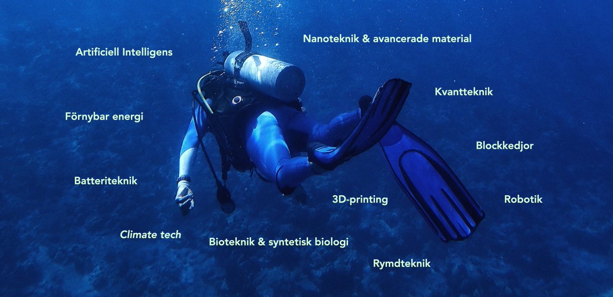 Judith Wolst tweet media