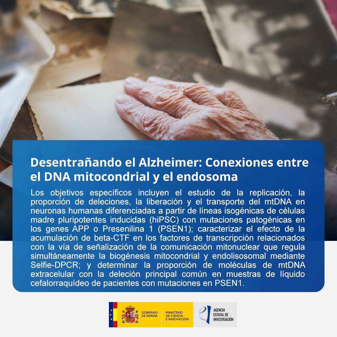 <a href="/CienciaGob/">Ministerio de Ciencia, Innovación y Universidades</a> <a href="/CrueUniversidad/">Crue Universidades</a> <a href="/CSIC/">CSIC</a> <a href="/FondosEuropeos/">Fondos Europeos</a> <a href="/FondosUE_Esp/">Fondos Europeos en España</a> <a href="/AlzheimerEsp/">Alzheimer España FAE</a> <a href="/CRE_Alzheimer/">CRE Alzheimer</a> <a href="/AceAlzheimer/">Ace Alzheimer Center Barcelona</a> <a href="/UniBarcelona/">Universitat de Barcelona</a> <a href="/UABBarcelona/">Universitat Autònoma de Barcelona</a> <a href="/CICbioGUNE/">CIC bioGUNE</a> 💡 Los resultados de este proyecto del <a href="/csic/">CSIC</a> arrojarán luz sobre la relación entre dos mutaciones diferentes que causan Alzheimer en familias y la alteración en la dinámica del #mtDNA subyacente a la neurodegeneración.