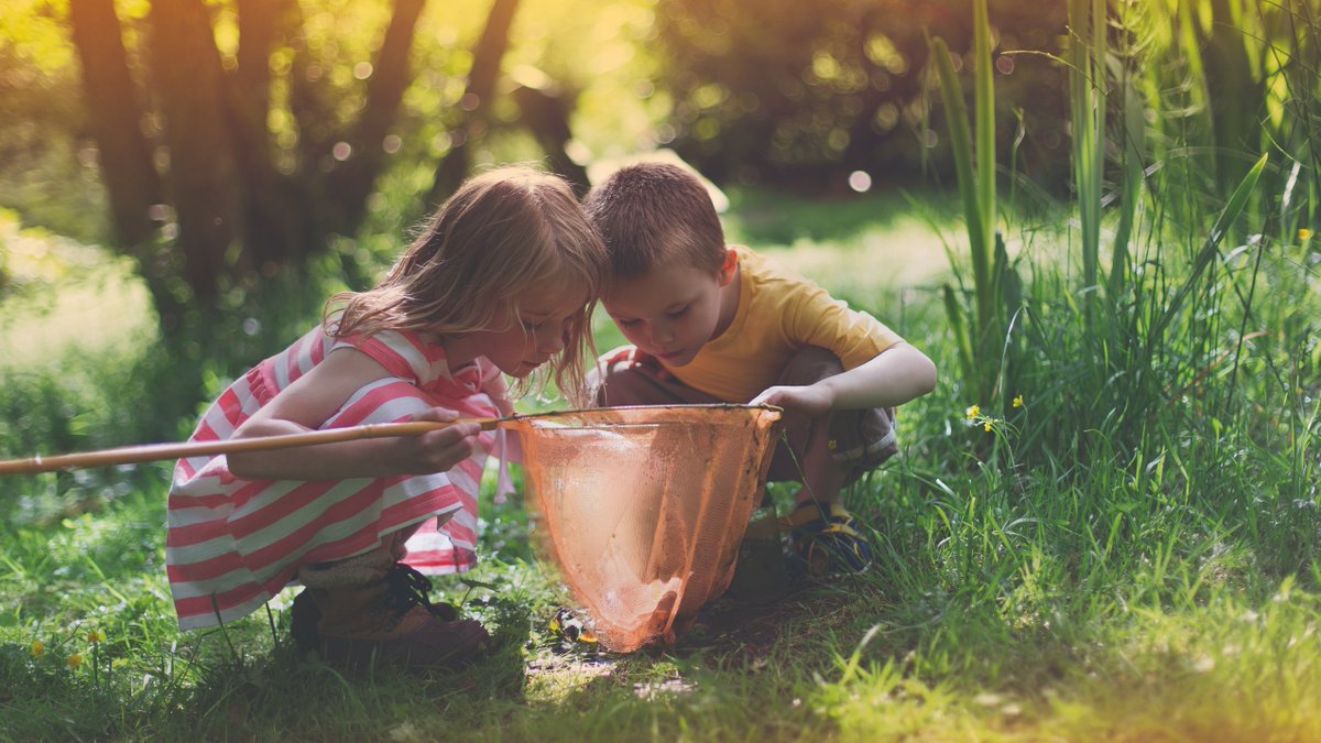 With biodiversity in crisis, how can ethical investors help in the move to a 'Nature Positive' global economy?  Phil shares his thoughts on protecting nature and how an important new initiative - the TNFD - could help.
investing-ethically.co.uk/biodiversity-l…