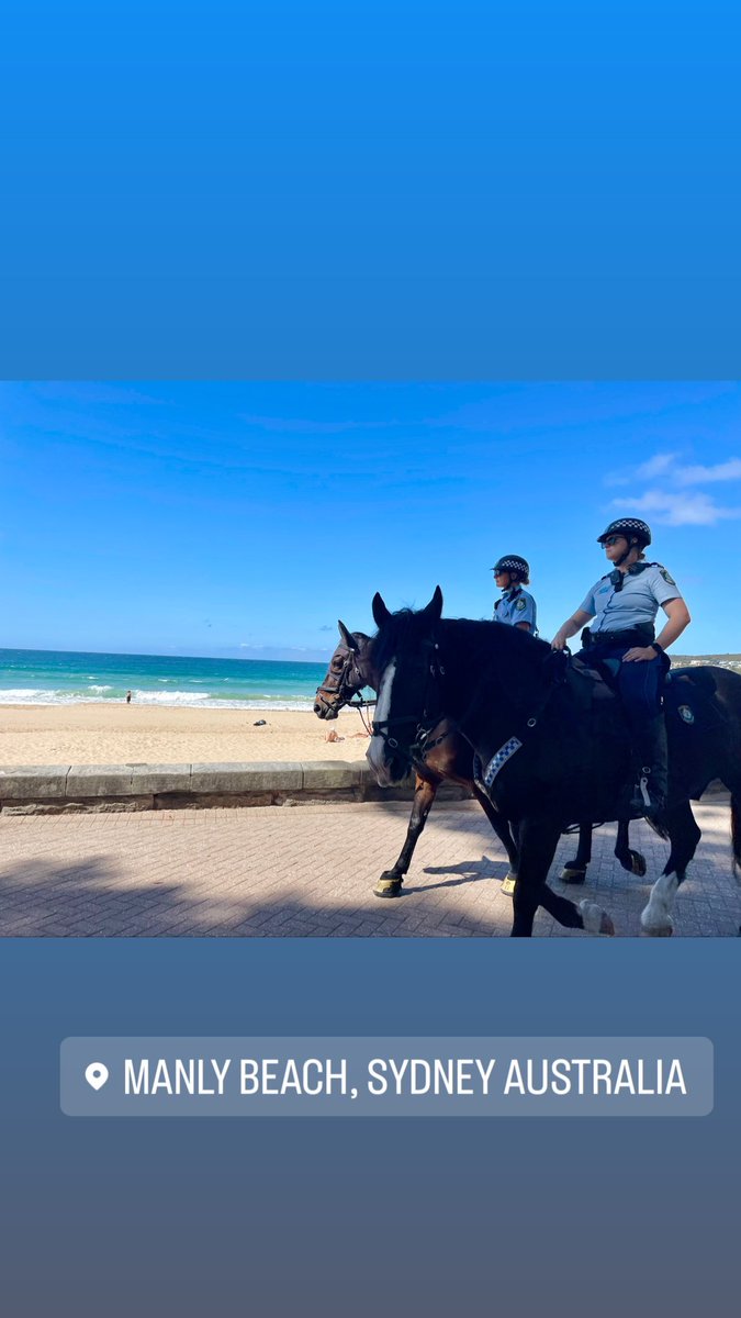 Dr Jo Righetti (@joannerighetti) on Twitter photo 