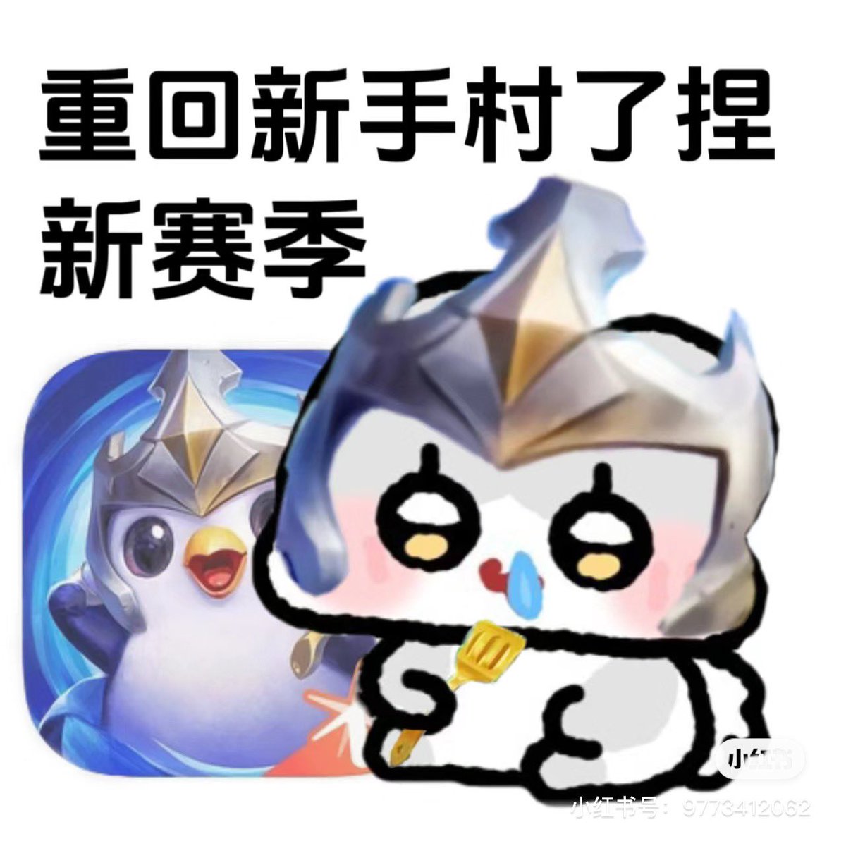 媒体预览