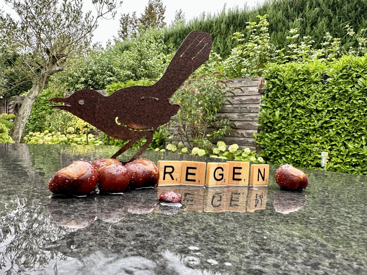 erica_v_leeuwen's tweet photo. Een kletsnatte dag in #Kloetinge ☔️🌰🌧️
@weermanrobert @Alpenweerman @Talpaweer @omroepzeeland @EdAldus @BuienRadarNL @Goesisgoes @provzeeland @helgavanleur @weerenradar_nl @WeermanRico @weeronline @GemeenteGoes @WNLVandaag #Zeeland @SevereweatherNL #kletsnat #regen https://t.co/AsYO299dOq
