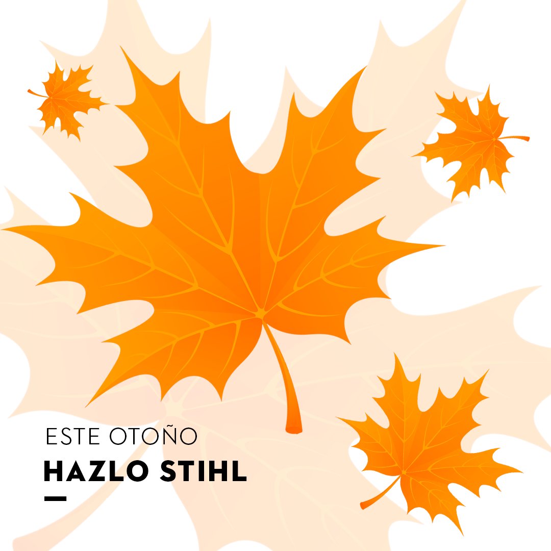 stihl_es's tweet photo. ¡Nos encanta el otoño! Haz tus propios muebles de exterior, tus adornos de interior, corta leña, cuida el jardín… 

#otoño #STIHL https://t.co/7JPORLet0g