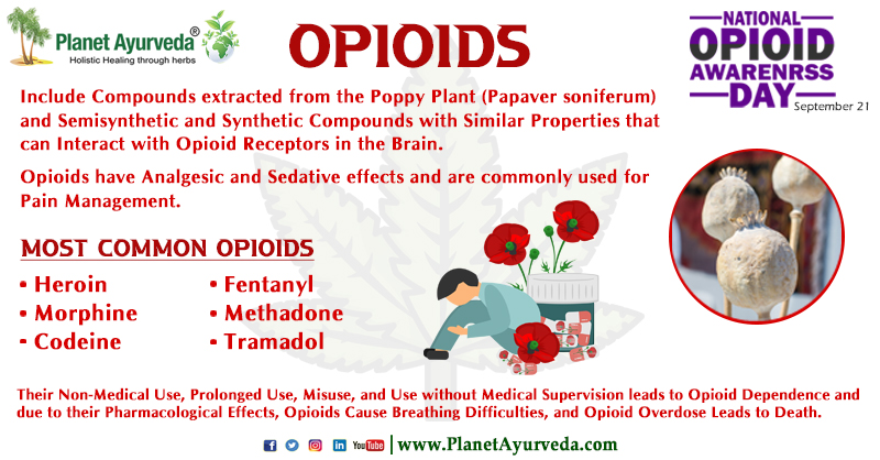 National Opioid Awareness Day - September 21
#NationalOpioidAwarenessDay #OpioidAwarenessDay #Opioid #Opioids #OpioidAwareness #PoppyPlant #PapaverSoniferum #Brain #Analgesic #PainManagement #MostCommonOpioid #OpioidOverdose #Health #Healthcare #PlanetAyurveda