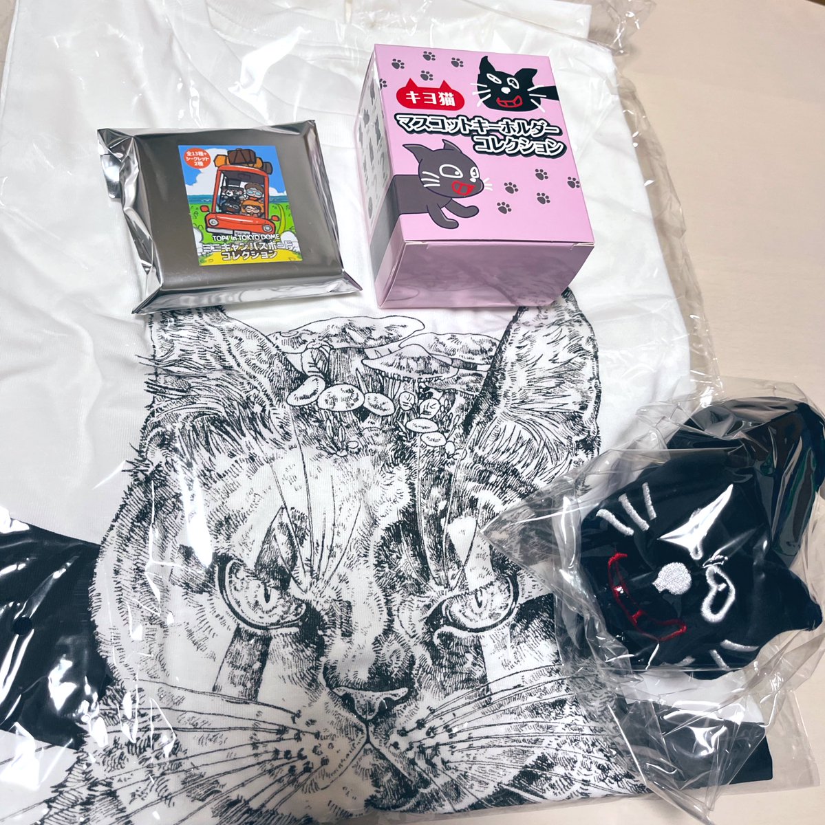 yurimugi's tweet photo. 昨日届いたトプ4グッズ！！！
キヨ猫ぬいぐるみの触り心地よすぎwww
かわいい〜 https://t.co/jJRGgR1Jgs