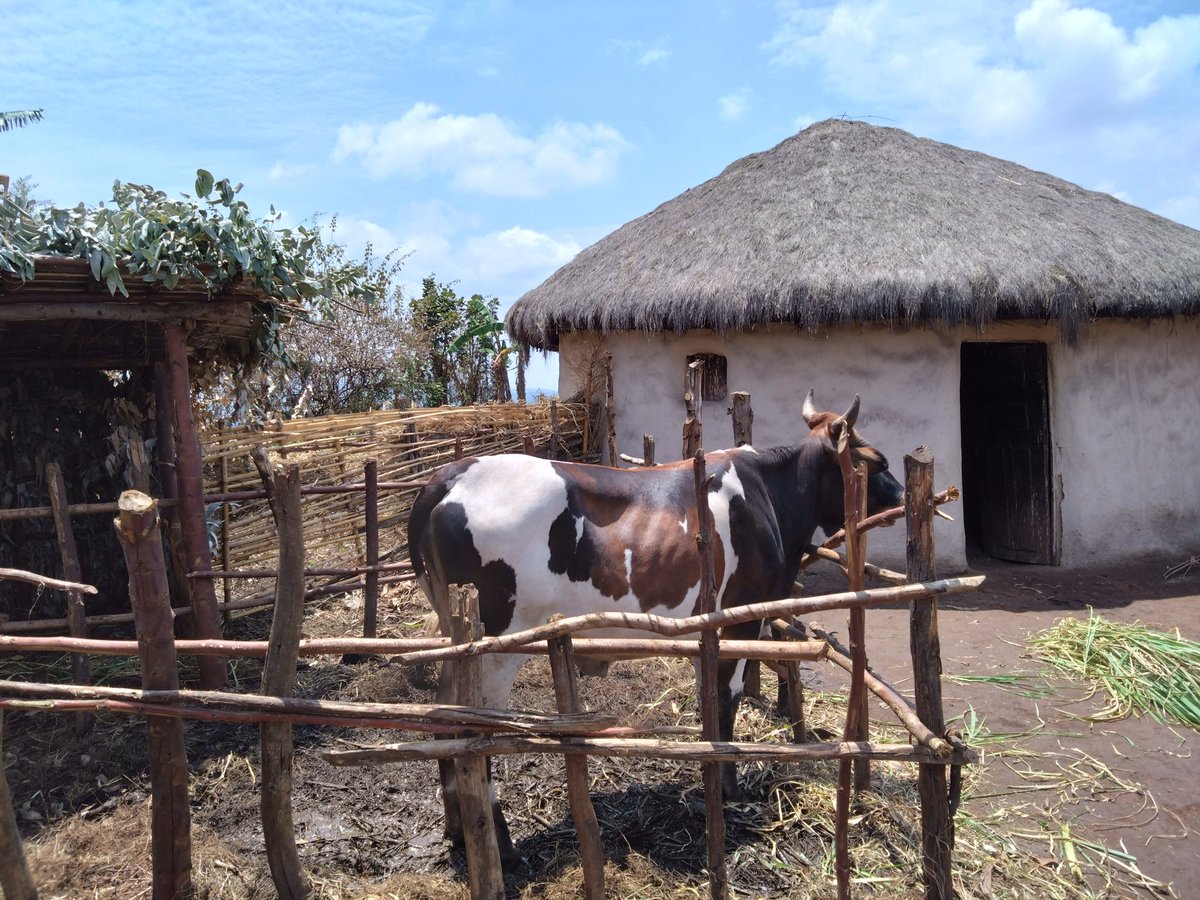 Sergiy Pro tweet media