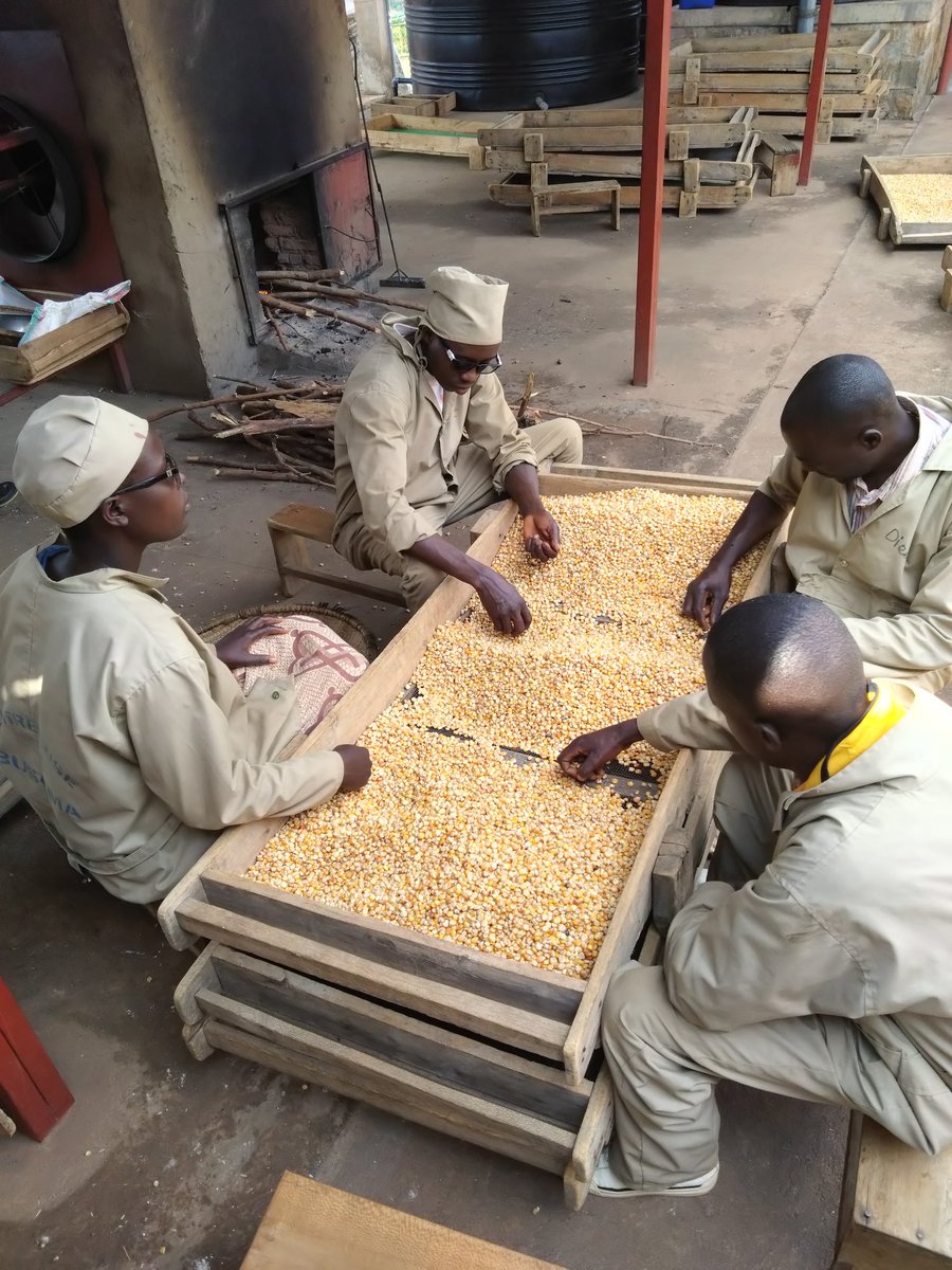 Sergiy Pro tweet media