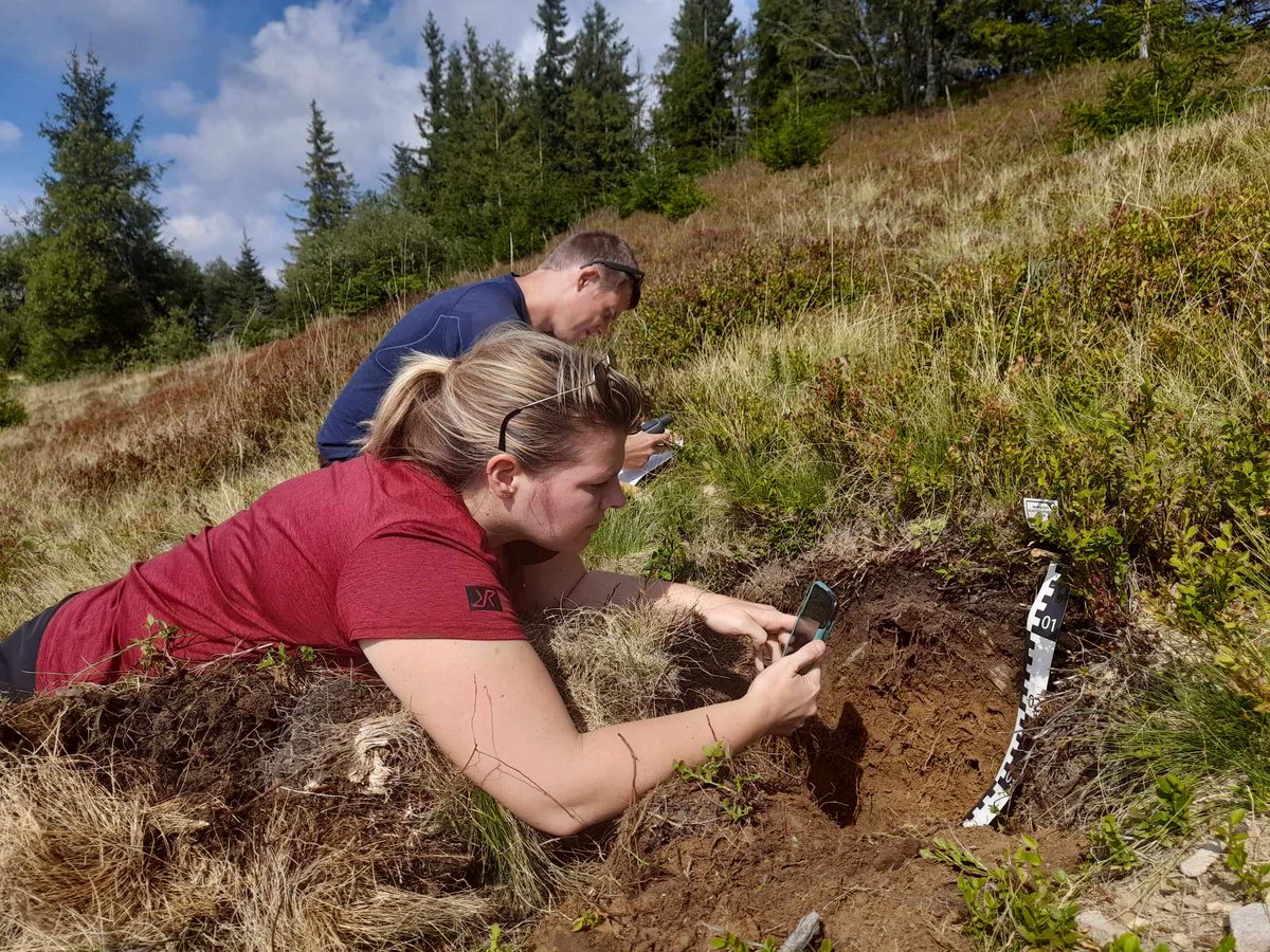 Michal_Jakiel's tweet image. #FieldResearch in Gorce Mts. as part of @SOILab_UJ  project  with @OkMusiel, @Nat_Tokarczyk (@JagiellonskiUni) and Sascha Nijdam from @dForNatLan @KULeuven. We had very nice weather ☀️☀️ 🙂

#Research #Science #Carpathian #Geography 
#Poland
