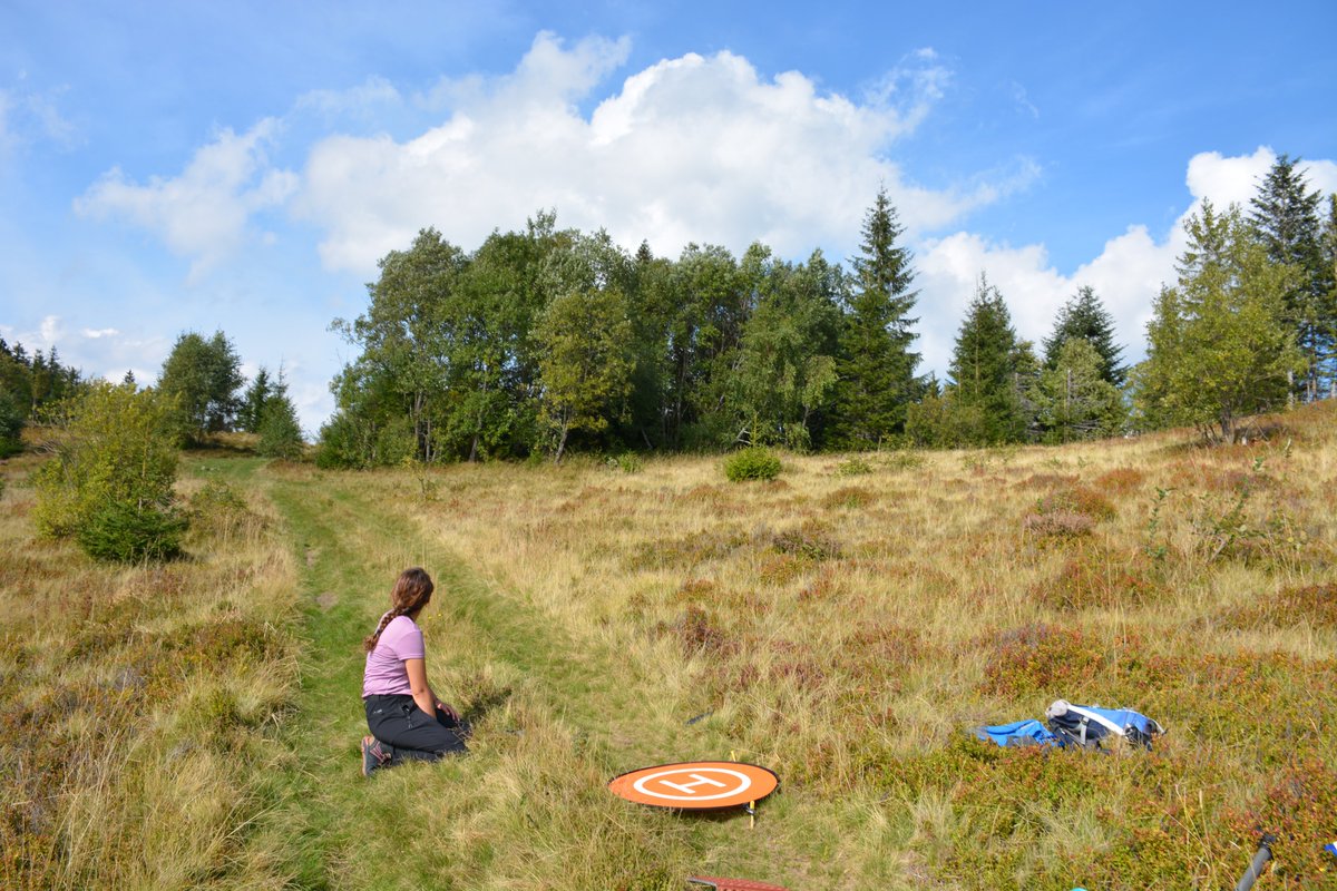 Michal_Jakiel's tweet image. #FieldResearch in Gorce Mts. as part of @SOILab_UJ  project  with @OkMusiel, @Nat_Tokarczyk (@JagiellonskiUni) and Sascha Nijdam from @dForNatLan @KULeuven. We had very nice weather ☀️☀️ 🙂

#Research #Science #Carpathian #Geography 
#Poland