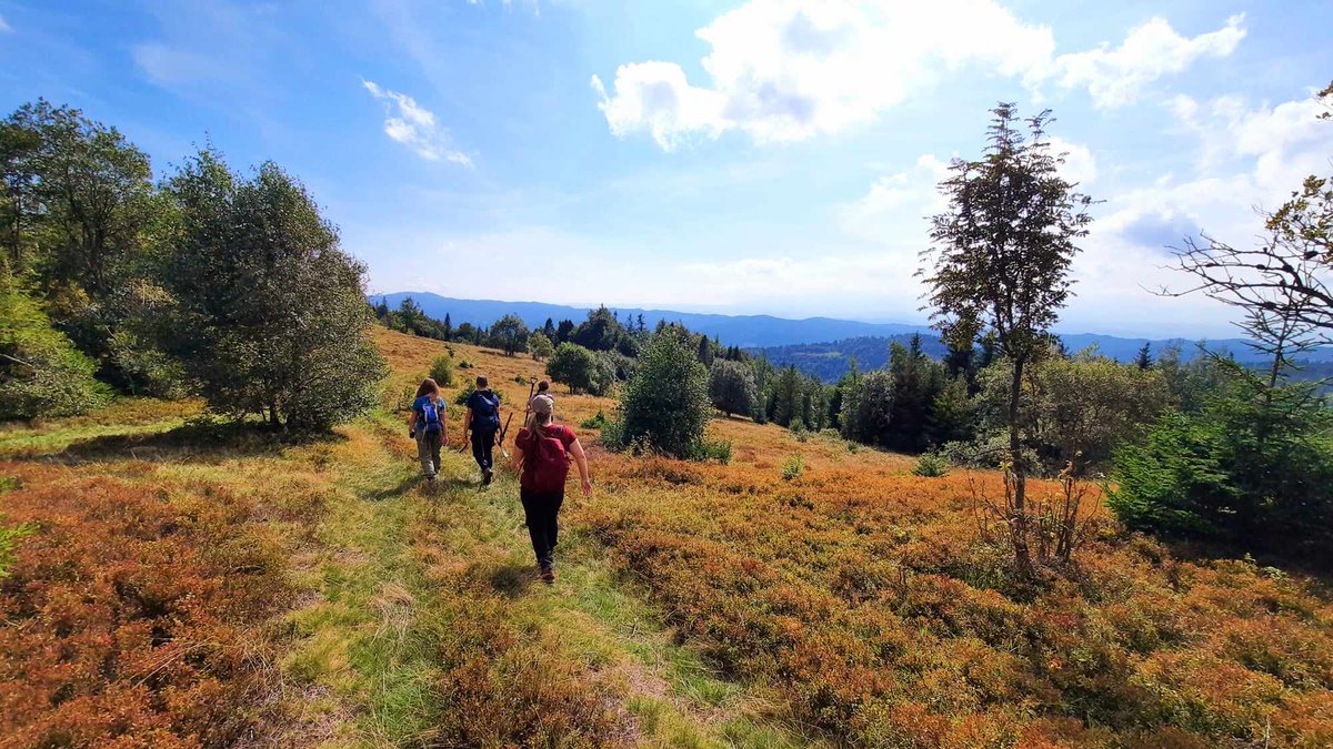 Michal_Jakiel's tweet image. #FieldResearch in Gorce Mts. as part of @SOILab_UJ  project  with @OkMusiel, @Nat_Tokarczyk (@JagiellonskiUni) and Sascha Nijdam from @dForNatLan @KULeuven. We had very nice weather ☀️☀️ 🙂

#Research #Science #Carpathian #Geography 
#Poland