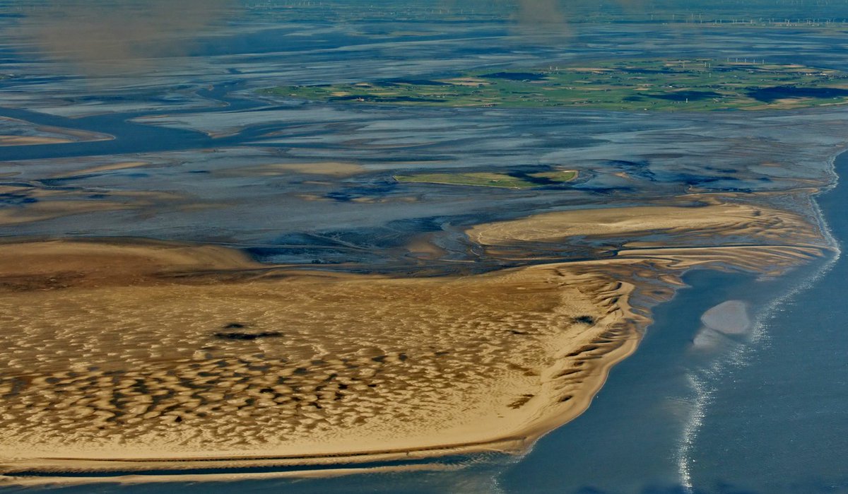 Featurez's tweet photo. UNESCO warns against further oil and gas extraction in Wadden Sea.   https://t.co/ItHHNdgdgO https://t.co/0w2JMN0hBs