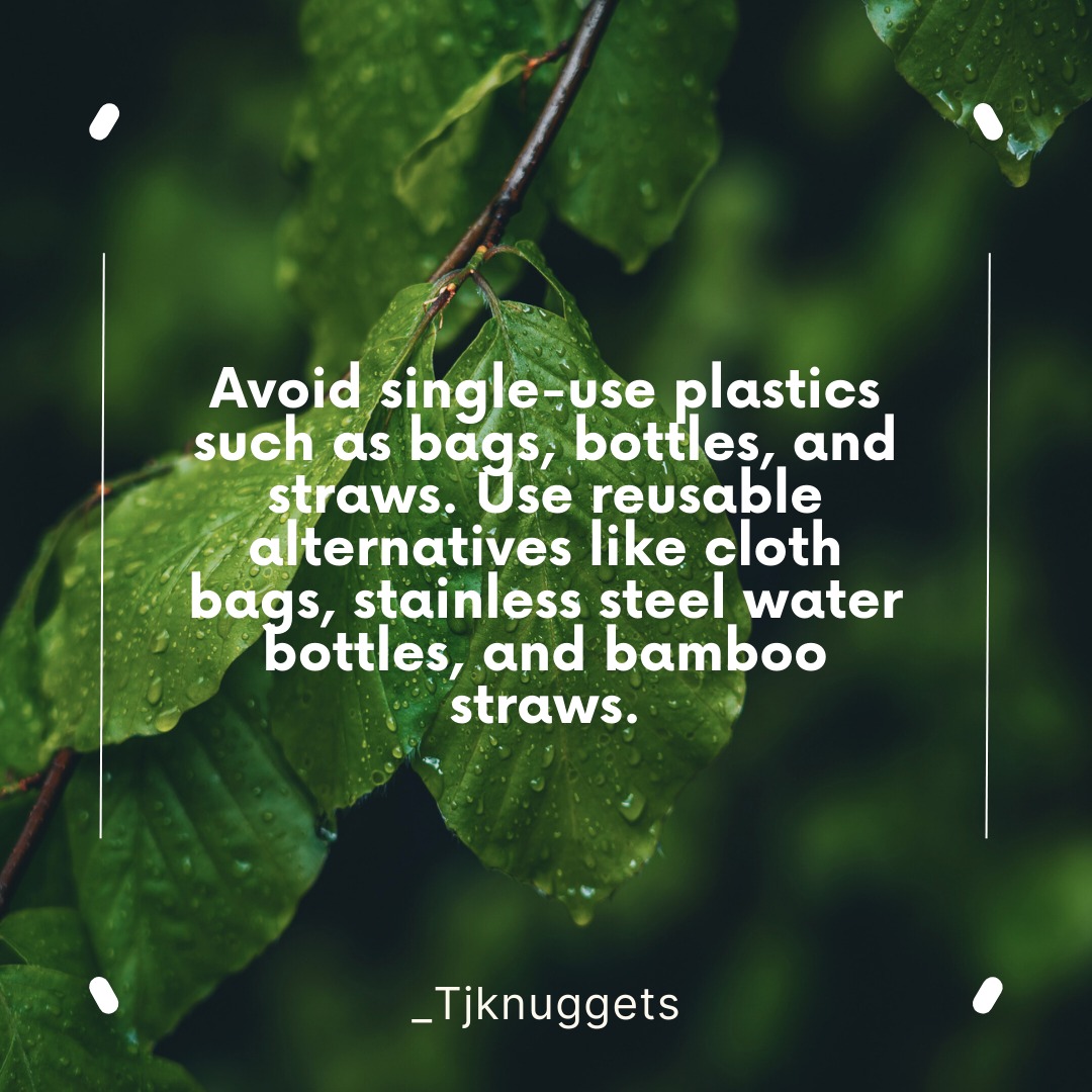 The #SDGSummit2023 marks the halfway point to achieving the #2030Agenda on Sustainable Development & today's nugget is inspired by #SDG12♻️ : Responsible for the production & consumption of plastic, especially that of single-use plastics...
#tjknuggets #SDG11  #SDG13 #GlobalGoals