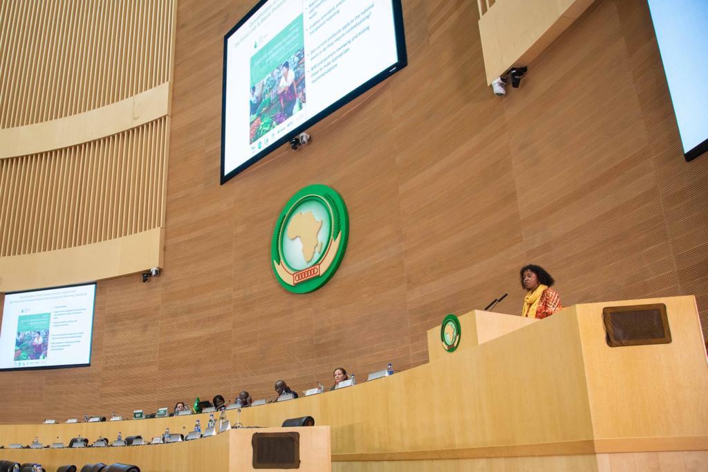 MunyurangaboJon's tweet photo. Thrilled by the energetic and persuasive insightful remarks and presentations at the 4th #aaphce hosted by the @_AfricanUnion organized in collaboration with various partners, including development partners, private sector actors, academic institutions, and civil society. https://t.co/8XSVEP4imA