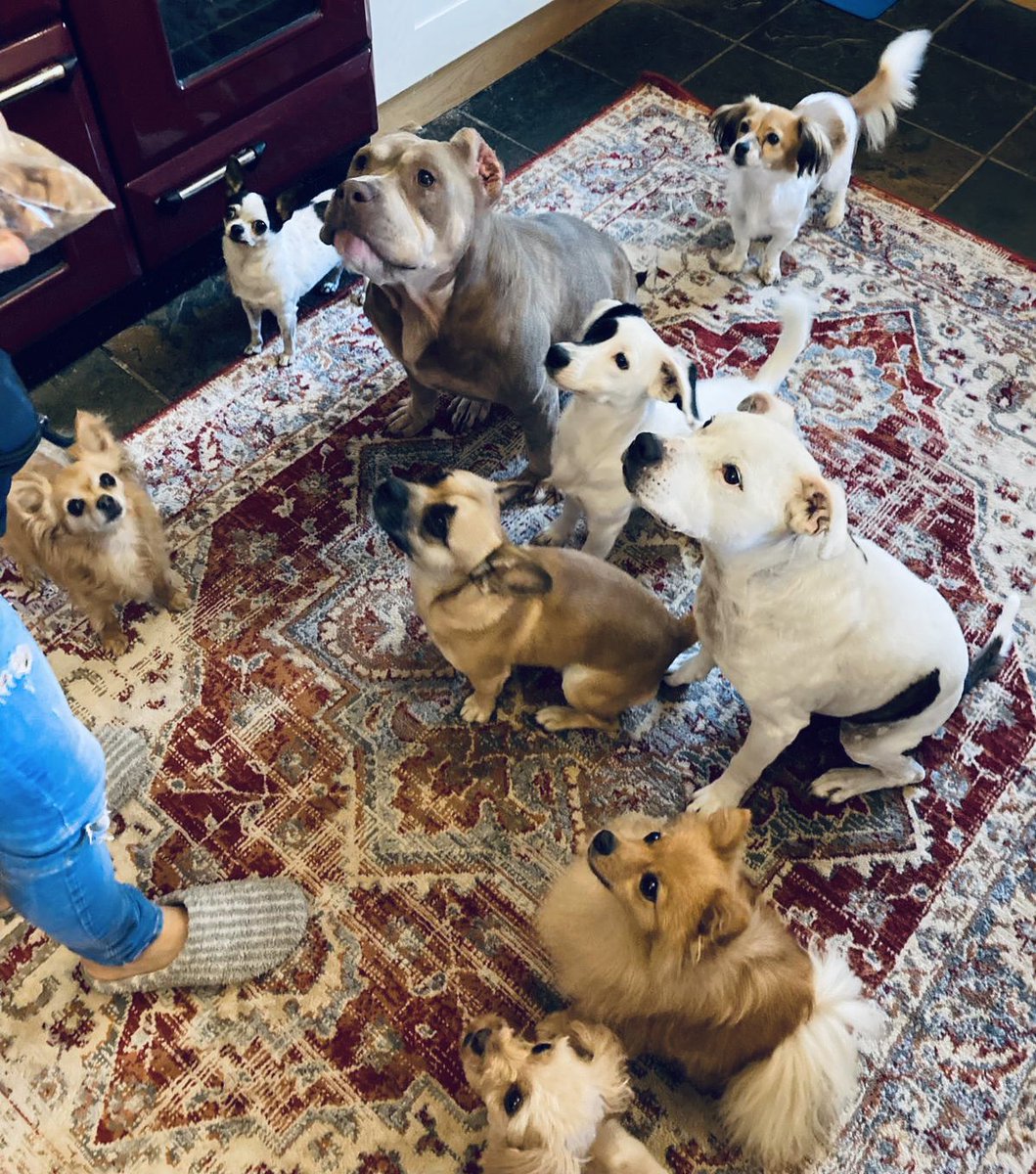 Gianni Butticè tweet media