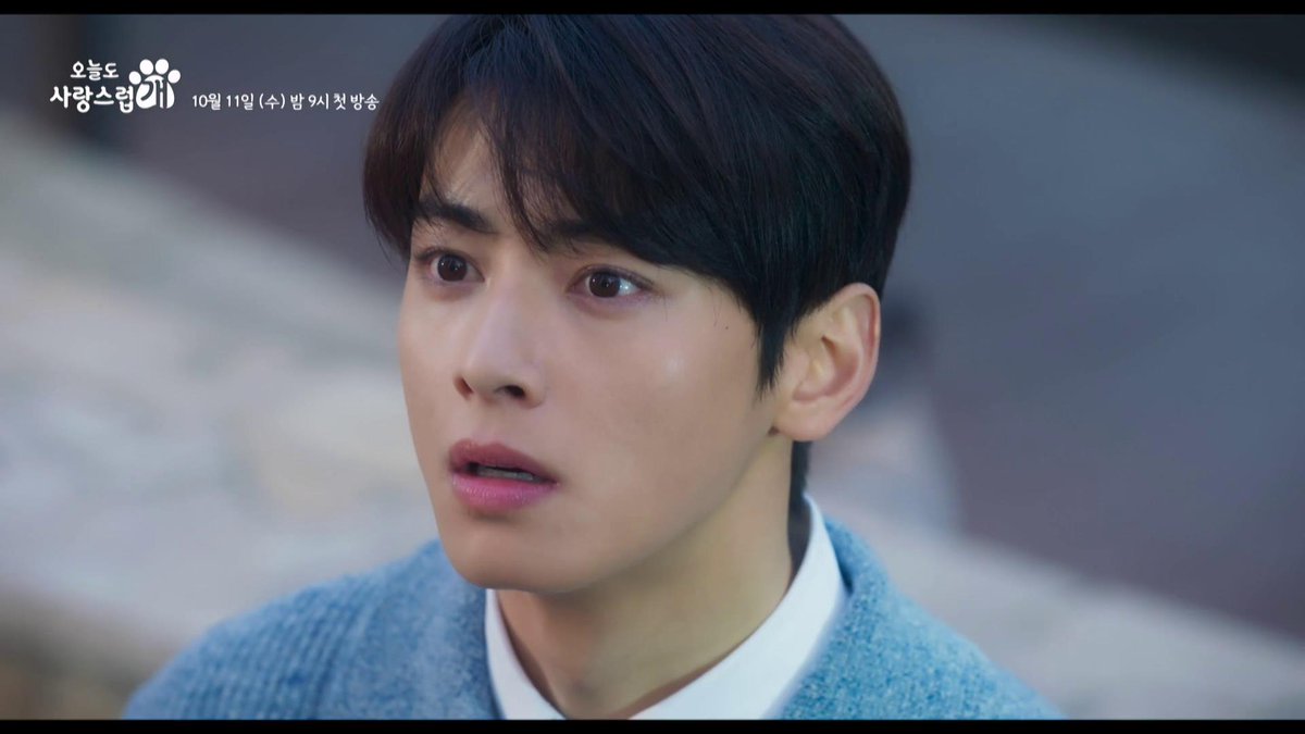 HiTV Arabic tweet media