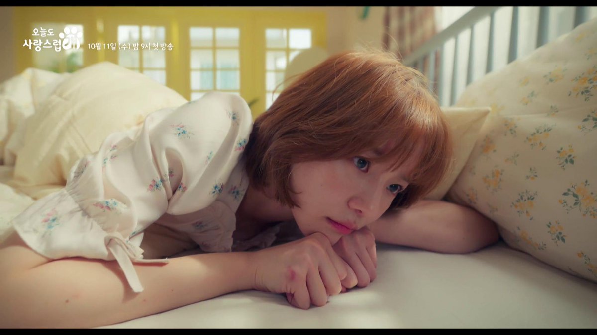 HiTV Arabic tweet media