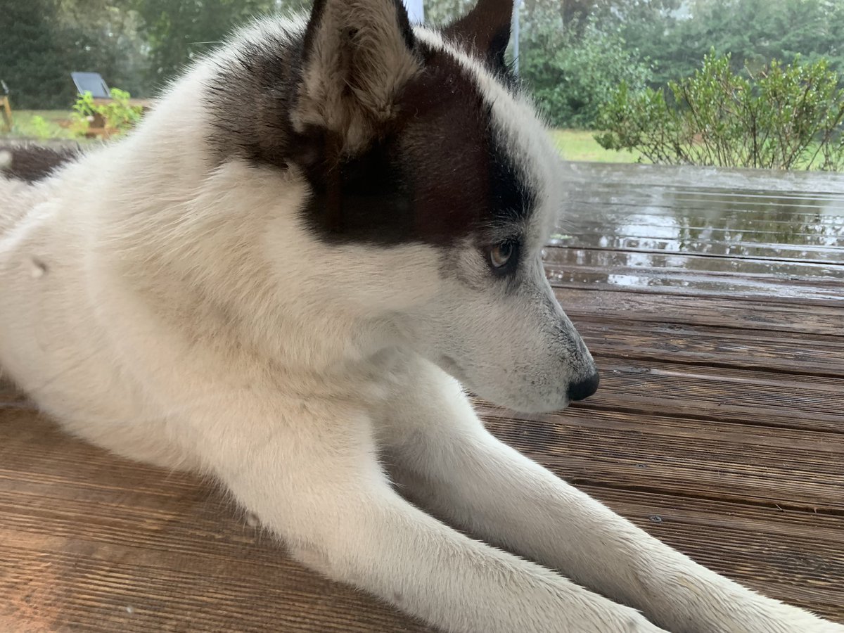 He definitely prefers the sun!