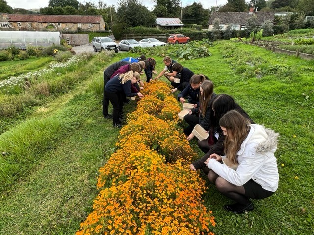 Ryedale Learning Trust tweet media