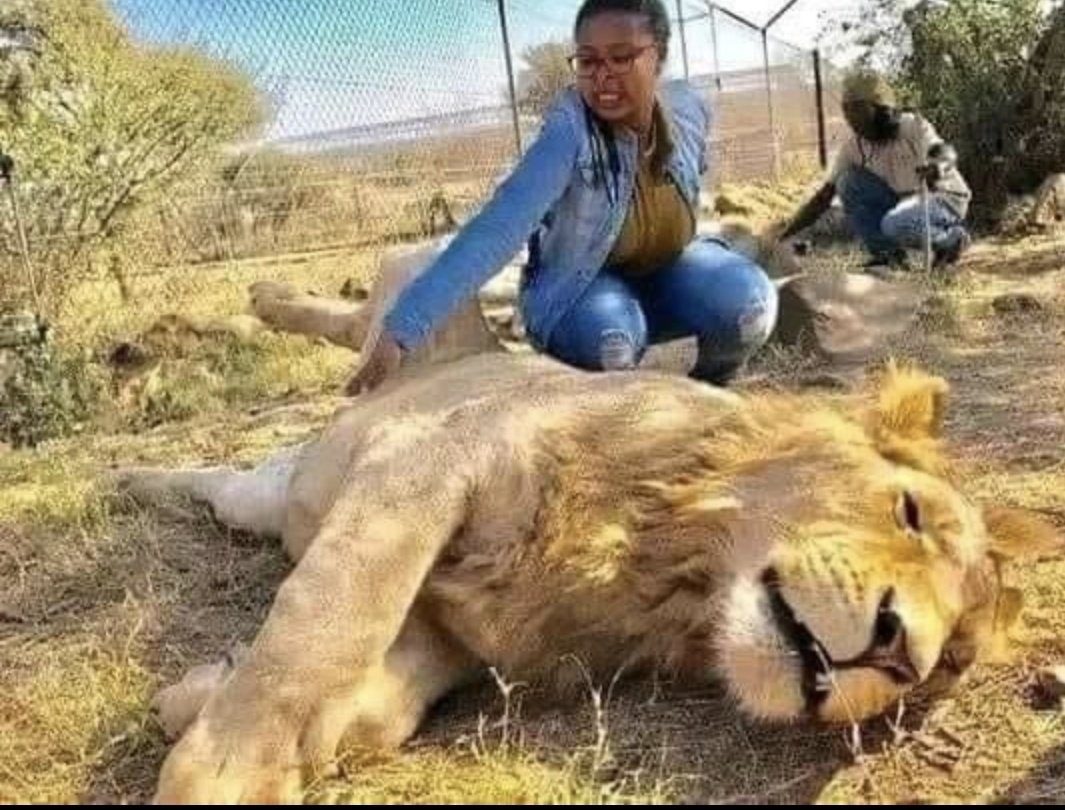 StephenOkelo9's tweet photo. Women 😱 https://t.co/FwaxVaOOLK