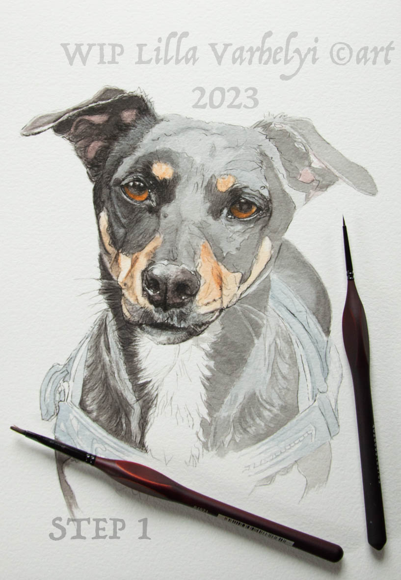 Hallo zusammen! Die Woche verbringe ich die Abende am #Zeichentisch mit diesem kleinen #Hund😊
 #WIP Rica #Tusche 26x18
#inkdrawing #zeichnen #hunde #hundeliebe #commissionsopen #WIPs #kleineKunstklasse #zeichnung #stepbystep #tierliebe #dogs #dogdrawing #drawingart #tierportrait