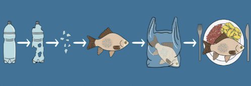 ¿Sabías que consumes plásticos? La contaminación de microplásticos en mares y océanos repercute directamente en ti. Un estudio propone medidas para minimizar el impacto, 1:El uso de filtros en lavadoras para disminuir las fibras sintéticas liberadas. sciencedirect.com/science/articl…