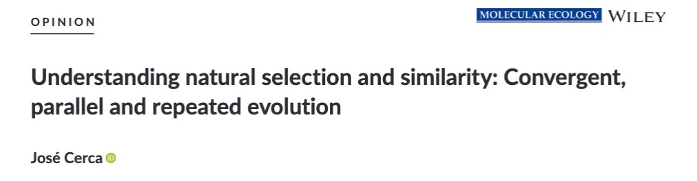 📃🎤Opinion published: 'Understanding natural selection and similarity: Convergent, parallel and repeated evolution' 🧵 I was frustrated by the different definitions regarding parallel/convergent evolution. Every colleague I asked had a ≠ definition. onlinelibrary.wiley.com/doi/full/10.11…