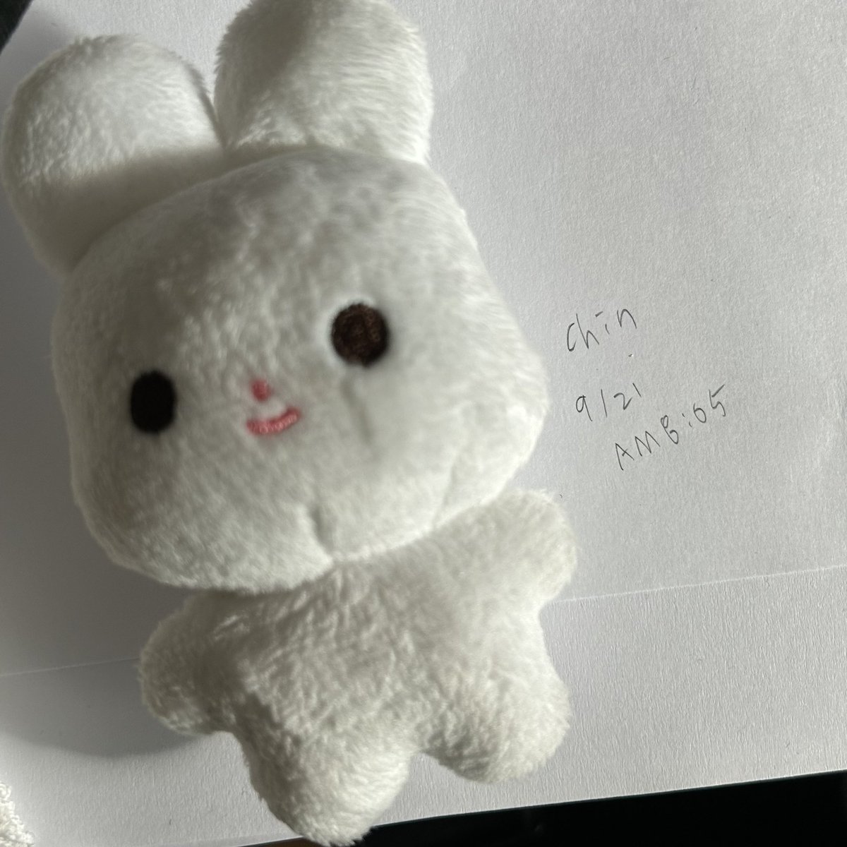 doiecare's tweet photo. ꒰ 🛒🐰 ꒱ . . . doiecare update! ◡̈  || #doiedoings   

♡ 10cm muhaeng doll from yangdo secured! https://t.co/2XNXRGbGVE