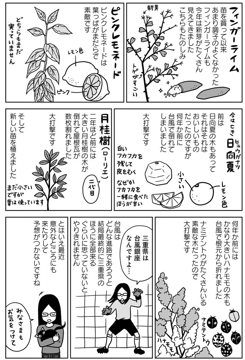 \#宇仁田ゆみ 先生最新刊「#もっともぐもぐガーデン」いよいよ明日9/22発売!/  
三重県在住ウニタ家の実録菜園エッセイ第2弾!

ヒヨドリとの戦い、シシトウロシアンルーレット、手作りこんにゃく、コキアの夢etc.etc...
仕事の合間に本格畑ライフ365日!
https://t.co/hbXyyXsNhR

@unita_y 