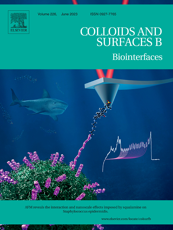 patriciabondia's tweet photo. 🔬✨ Exciting News! ✨🔬 My illustration has made it to the cover of Colloids and Surfaces B: Biointerfaces! 🎉 Congratulations to the authors Sofiane EL-KIRAT-CHATEL, Audrey Beaussart, and their team!👏👏👏
#SciArt #SciVis #SciComm #Research #CoverArt #Antimicrobial #AFM https://t.co/gJVO6Z3GWa