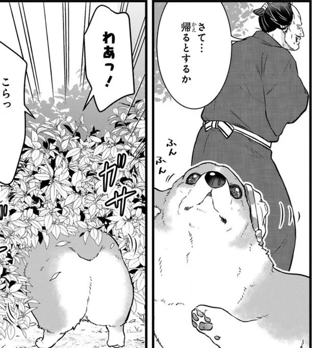 ✨本日最新話更新✨

コーギーを拾った武士の話
『#殿と犬』西田理英
https://t.co/JOqKh5p4Ni

祭り後半、犬&amp;殿の前に現れた
ちょっと変わった女の子🎀
いきなり祭りの案内を命じられて…⁉︎

⏩アンケートへの一言やTwitterつぶやき(#殿と犬 をつけてね)大歓迎です🐶

https://t.co/q7D4p7Uv7V 