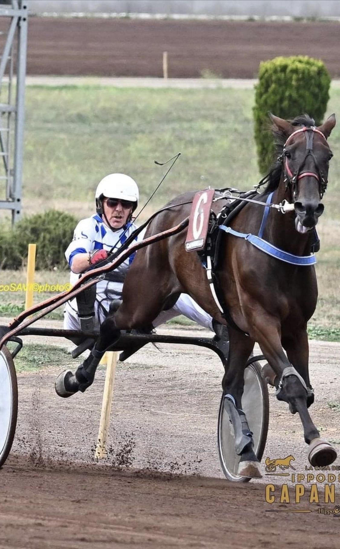 Zbigniew Boniek on X: 🐴🐴👍👍 t.coqiTXC69mJZ  X