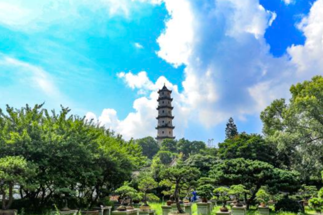 wei (@wei59002694) on Twitter photo 