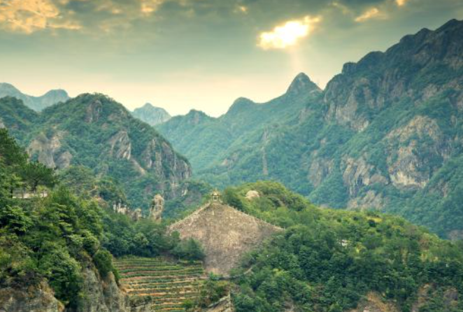 wei (@wei59002694) on Twitter photo 